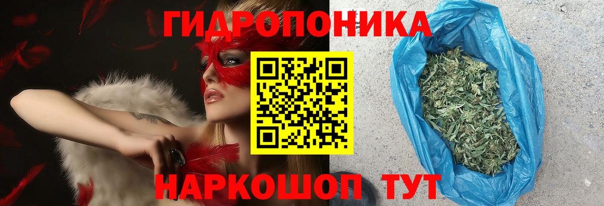 Бошки Шишки Ganja  Канабис Amnesia  Белая Калитва  Шишки марихуана THC 21%  МАРИХУАНА White Widow 